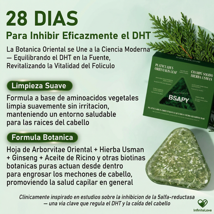 Champú Sólido Anticaída – Fortalece Raíces y Reduce la Caída del Cabello