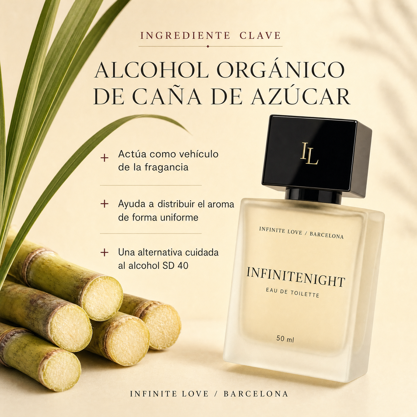 InfiniteNight — Perfume Unisex de Cardamomo, Cuero y Sándalo Ahumado 50 ml