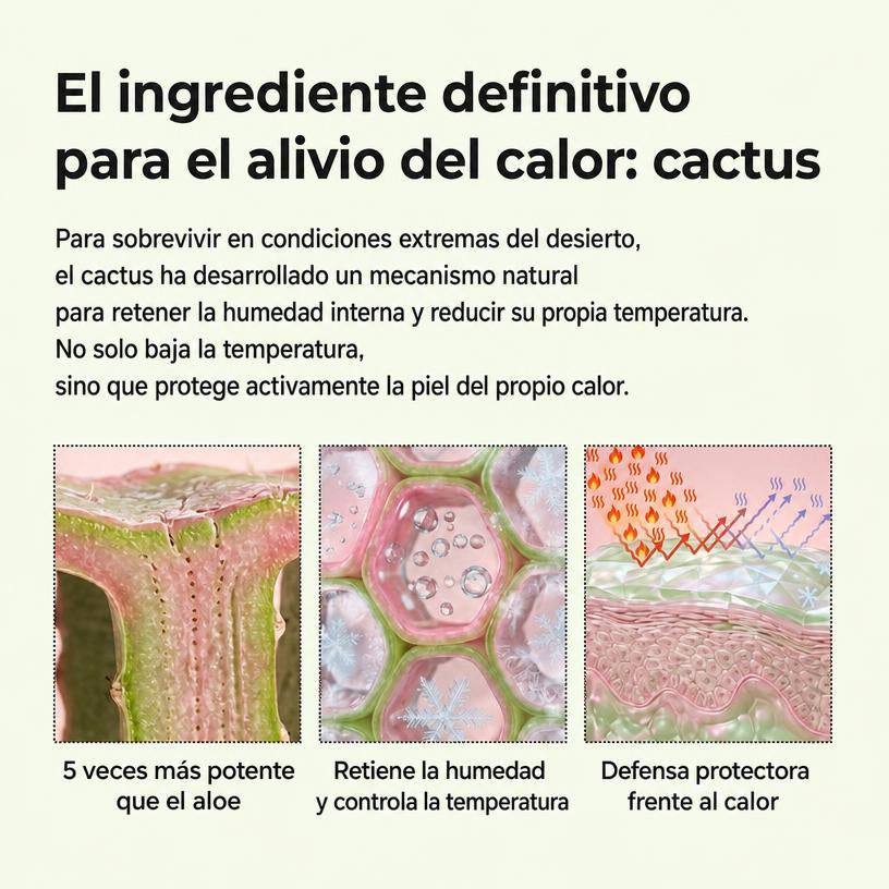 Multi Bálsamo para Poros Cactox — Stick Facial Efecto Frío 25 g