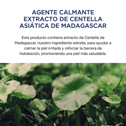 Centella Asiatica Madagascar