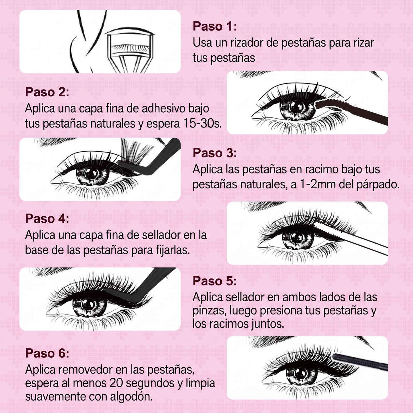 6 Pasos de Aplicación