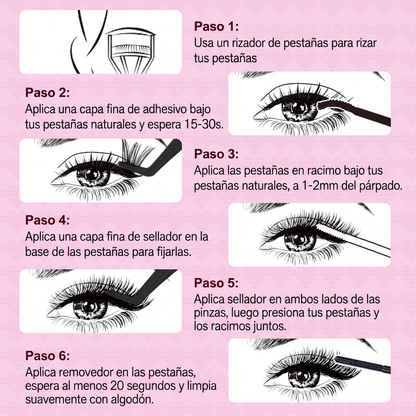 6 Pasos de Aplicación
