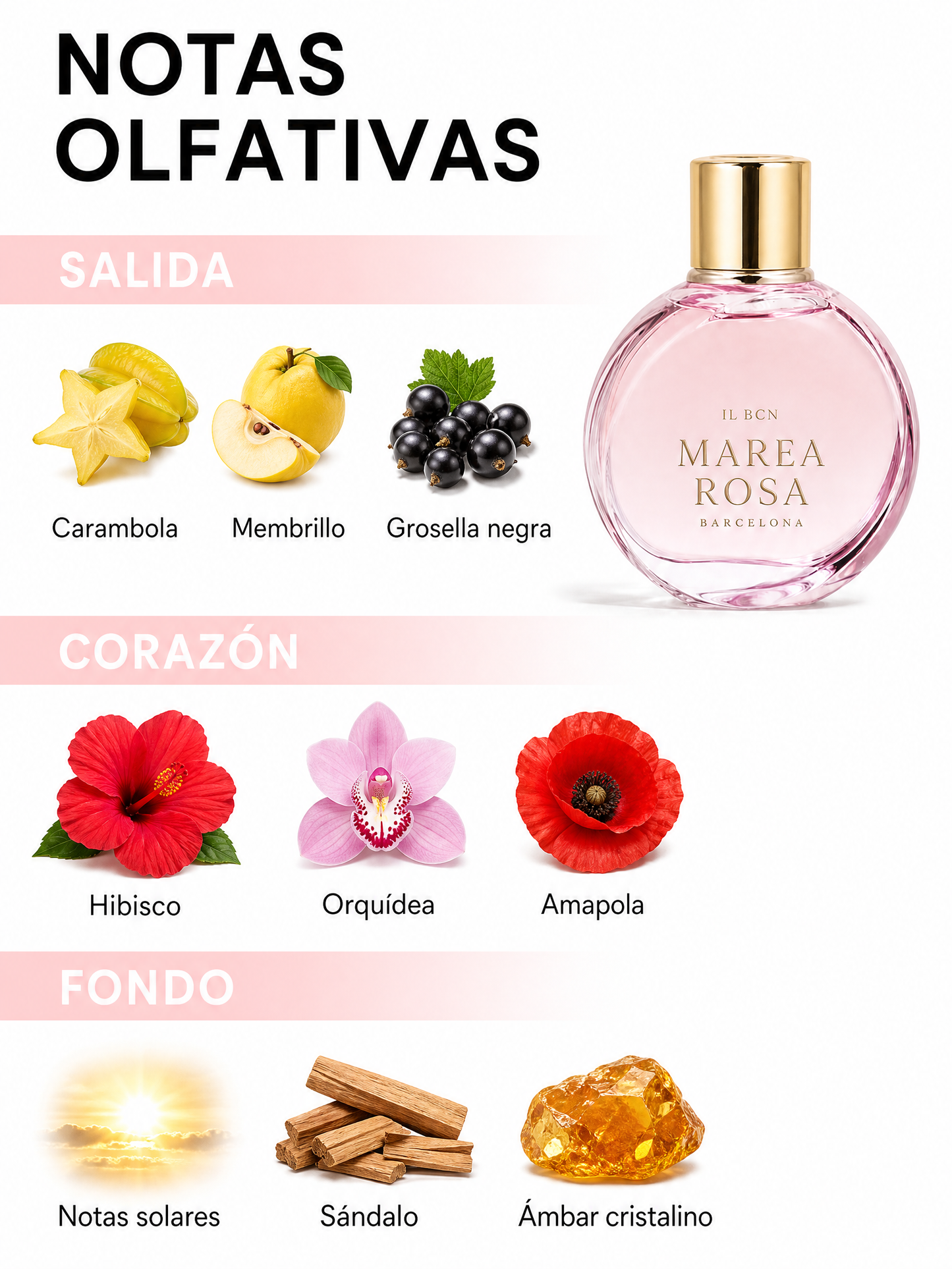 Marea Rosa | Eau de Parfum Floral y Afrutado para Mujer 100 ml